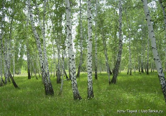 Праздник торжества
