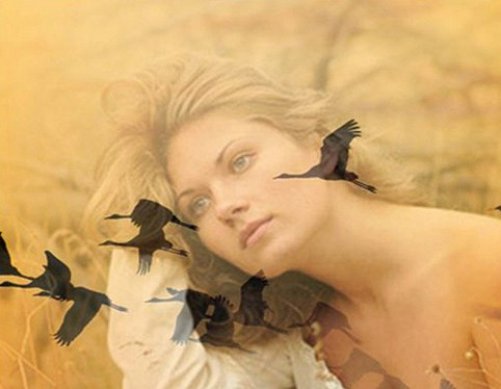 34 Улетают, улетают журавли