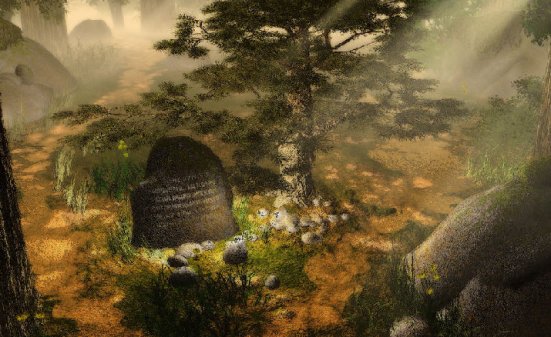 Мы выбираем сами путь