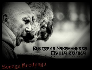 душа волка