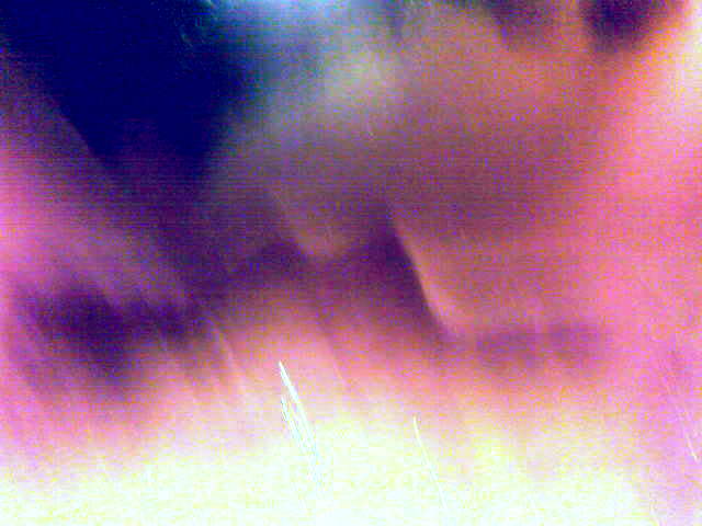 Я прижимаю икону к груди