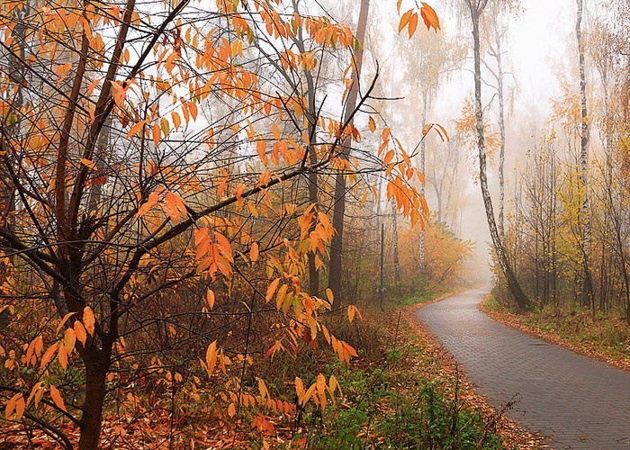 Что сегодня меня тревожит...