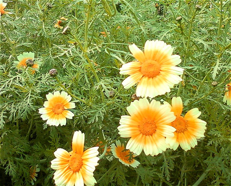 Я словно начинаю просыпаться...