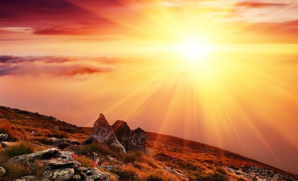 Учит нас планета!