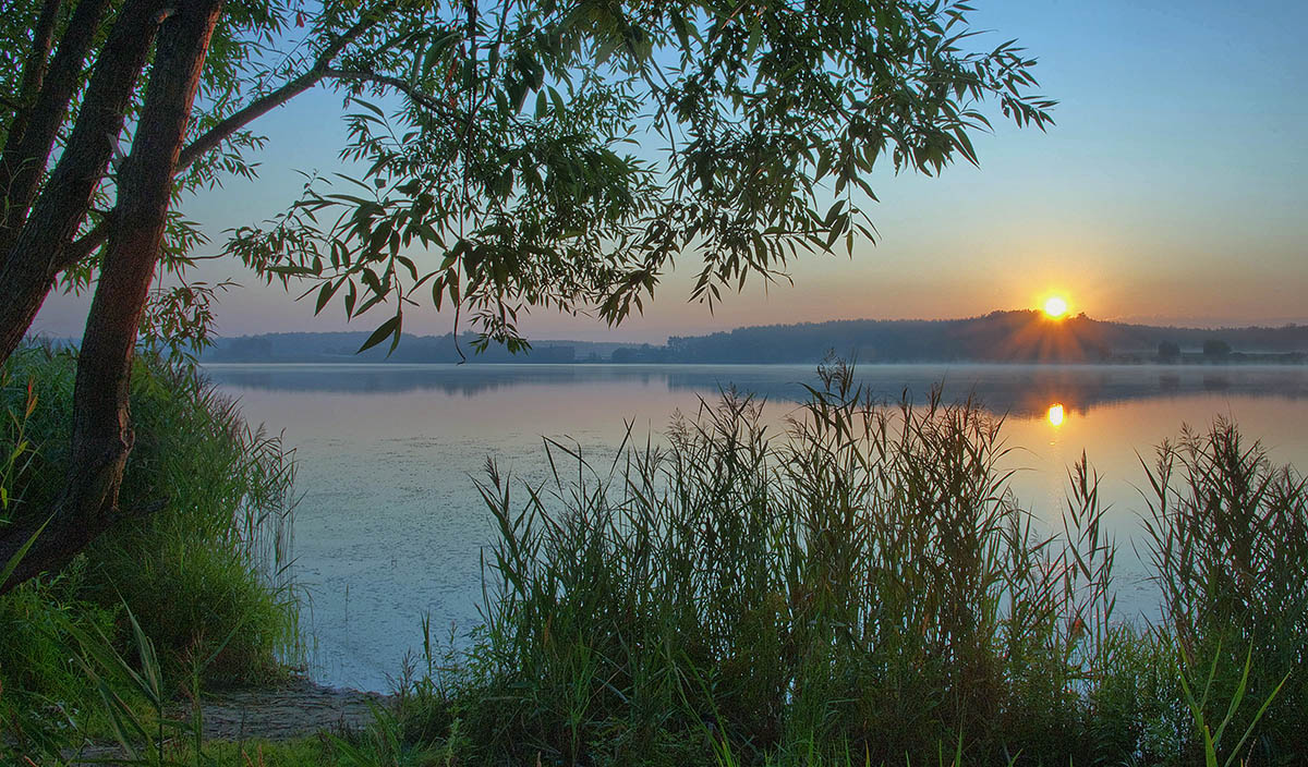 В тихом июле этого года...