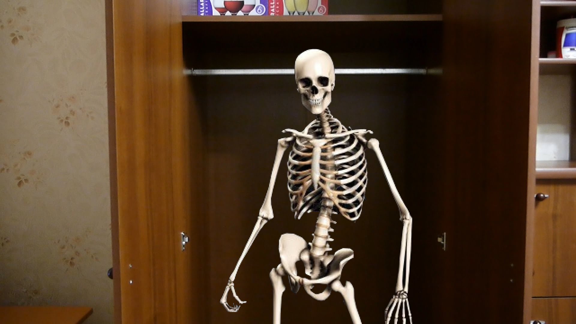 Скейт в шкафу. Скелет в шкафу фразеологизм. Скелеты в моем шкафу. Скелет в шкафу блокнот. Скелеты в моем шкафу.