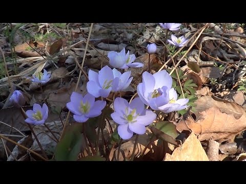 Жду выходного. Май