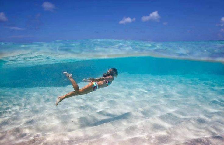 Картина жива!