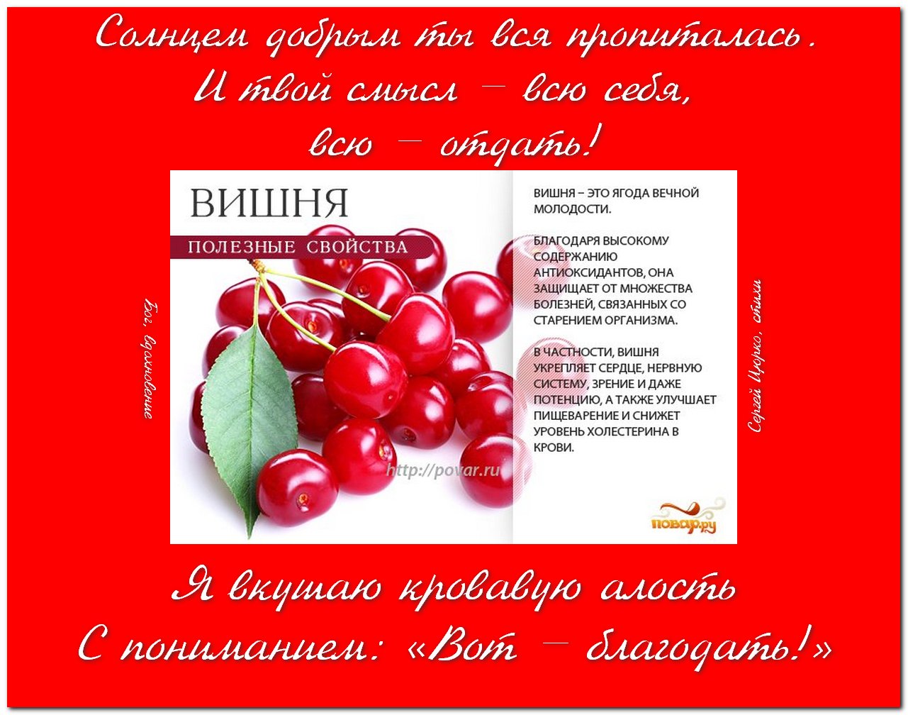 Вишня алая вишня спелая текст. Стих вишня. Стихи о вишне ягоде. Стих про вишенку. Загадка про вишню.