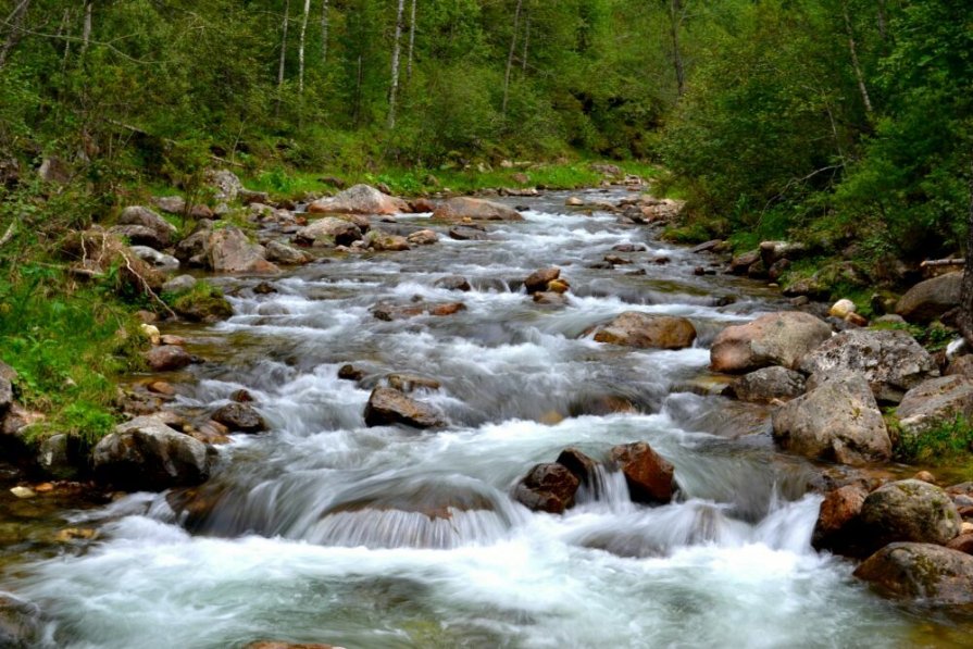 У ручья вода живая!