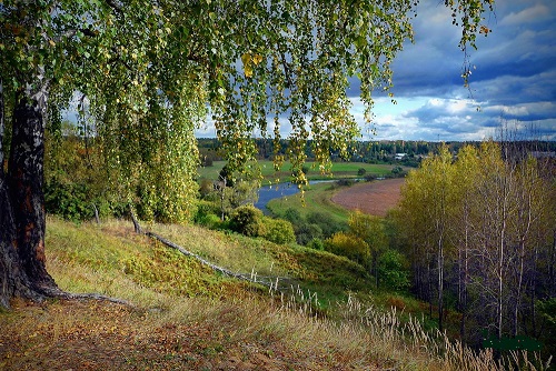 В нашей местности нет соловьёв
