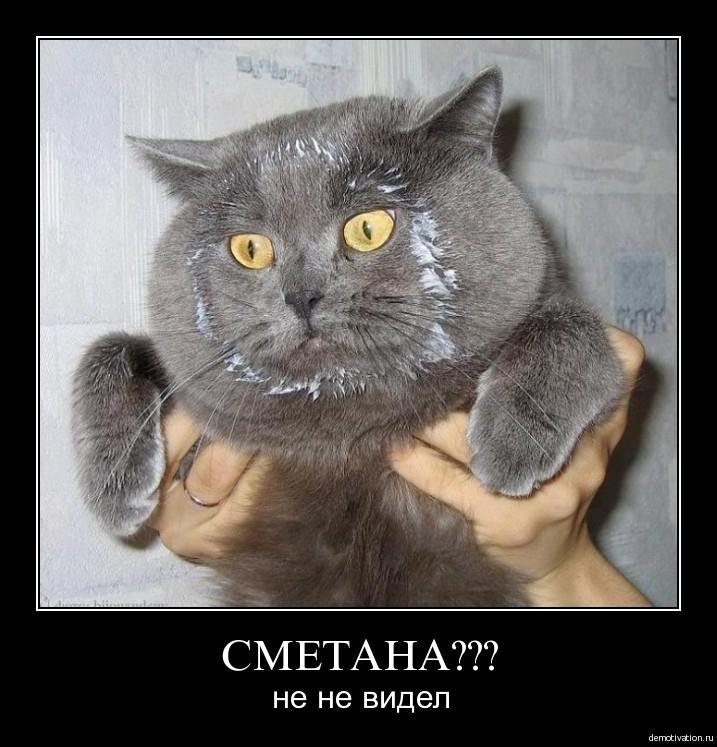 Я с детства обучался воровству!