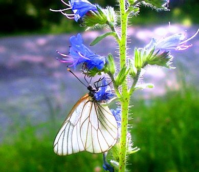 Когда уходит настроение