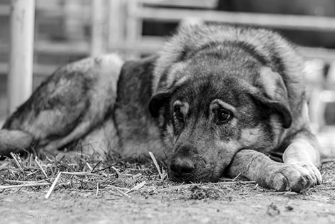 Дождливое-шутливое