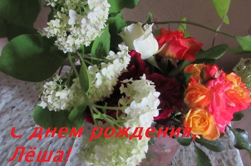 Парней так много есть хороших