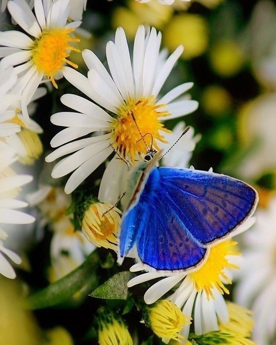 Для Счастья!