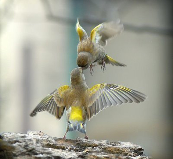 Кто сказал, что любовь это омут...