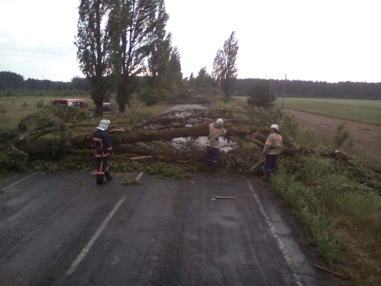 В июльский день
