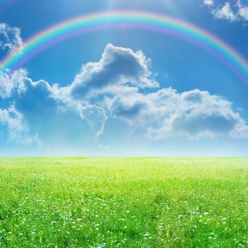 За духом дождя...