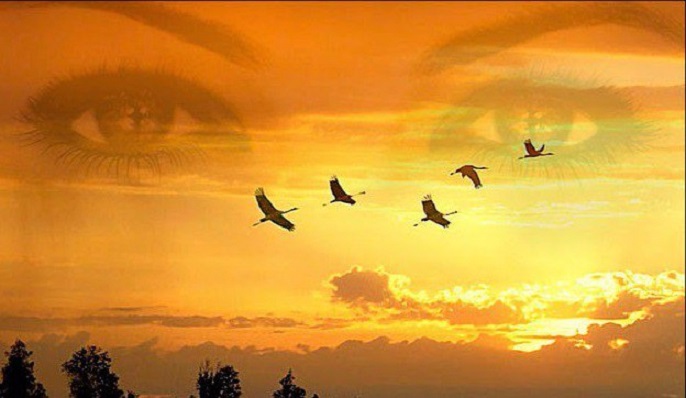 В небо белыми стаями...