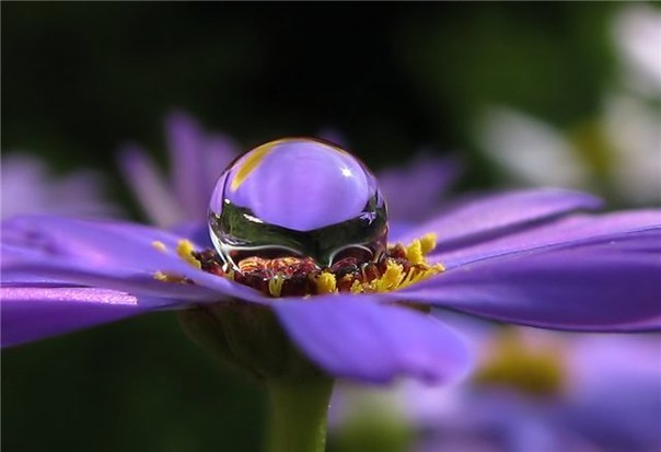 Время лечит Авторская песня