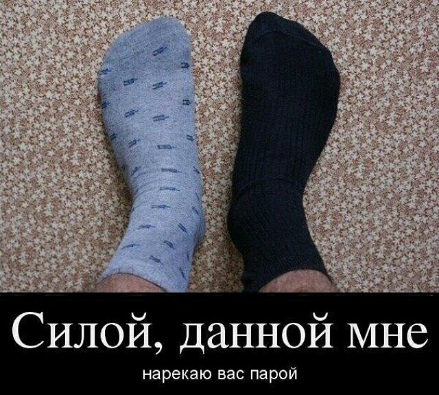 Лебединая песня