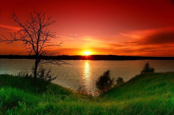 Тихая речка