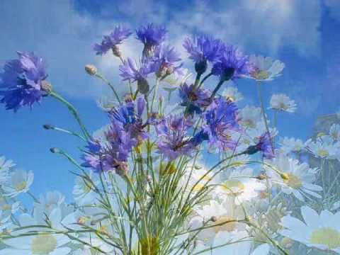 На погосте...