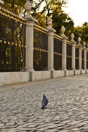 Ограда Летнего сада