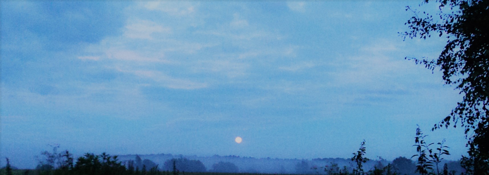 Я проснулась сегодня рано