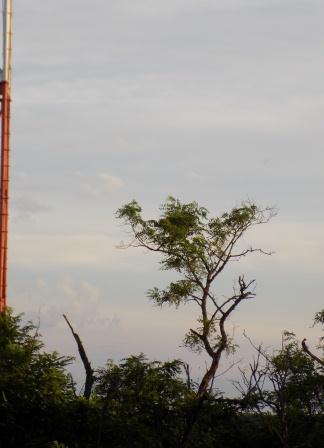 Тебе. Трилистник