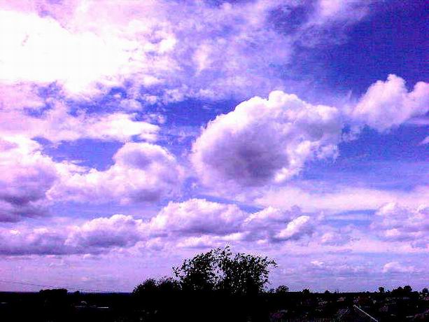 Летит мой конь...