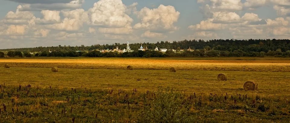 Усердно молятся монахи...