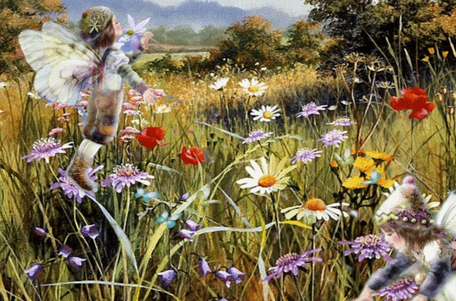 Середина лета