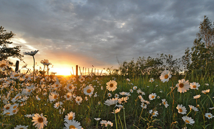 Засыпает день...