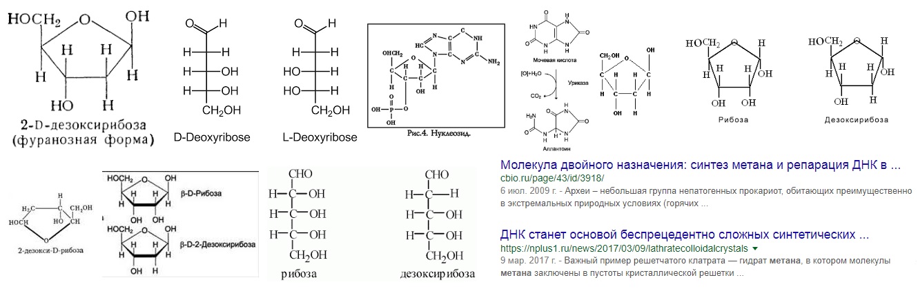 Синтезируется цепь содержащая рибозу. 2-Дезоксирибоза структурная формула. Формула Фишера рибоза и дезоксирибоза. 2дезоксарибоза структурная формула. D 2 дезоксирибоза формула.