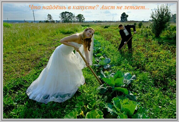 К отношеньям что-то мало интереса