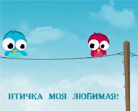 Откровенность - второе счастье