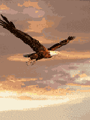 Моя душа как птица