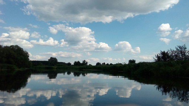 Тамбовский лес