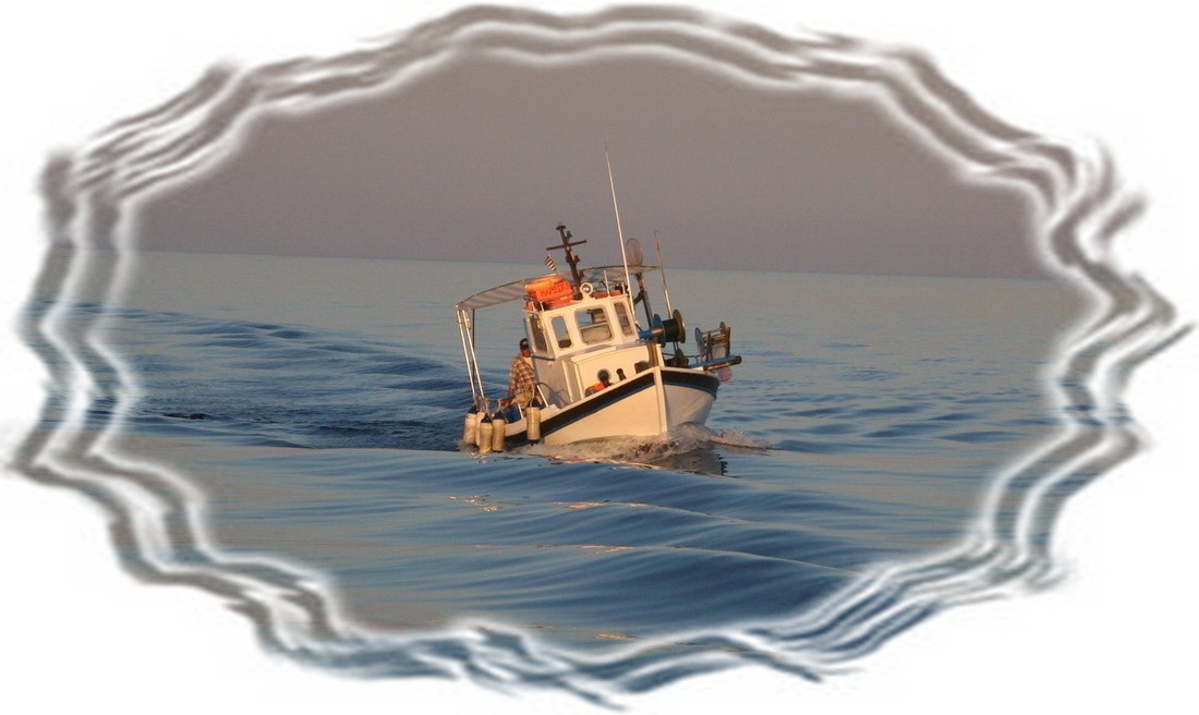 Белый катерок