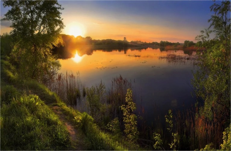 А зори у нас тихие...