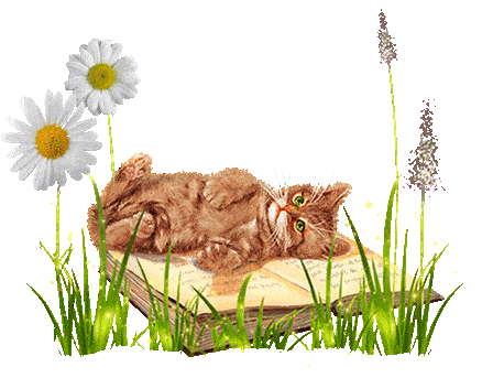 Домашние любимцы