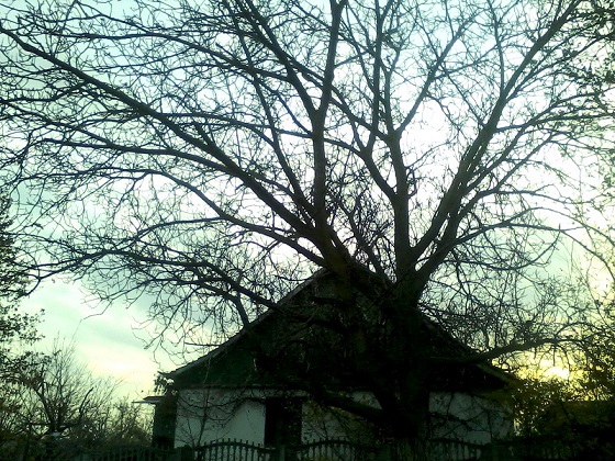 Любите сегодня, сегодня, сейчас