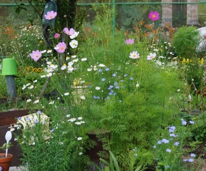 Я обиделась на июль