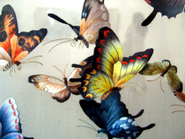 Бабочки китая