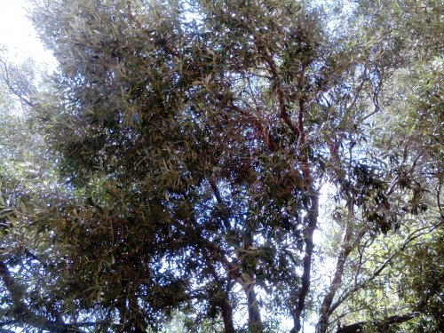 Самый лучший день