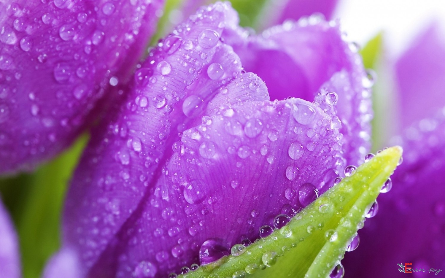 Это весна не такая как раньше