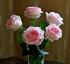 Пока не завяли цветы