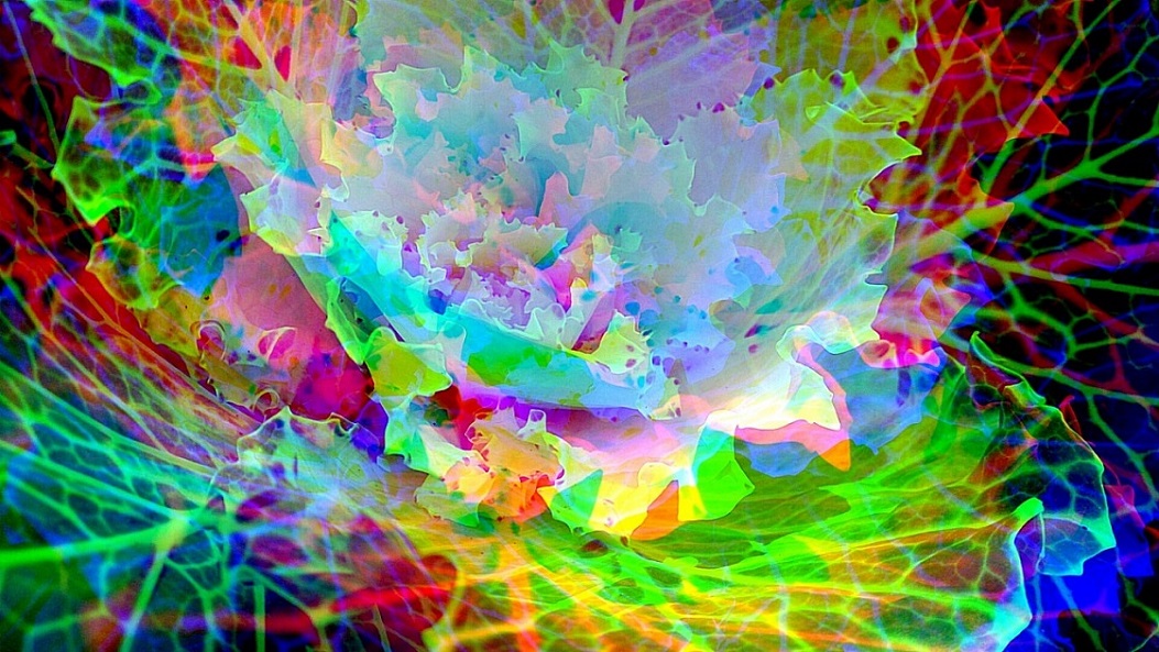 Привкус жизненного вкуса!